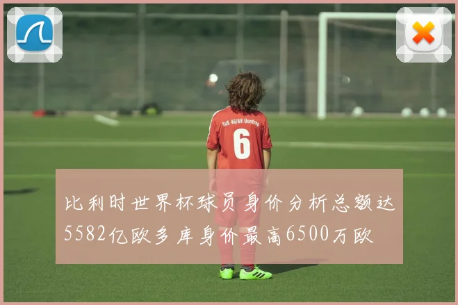 比利时世界杯球员身价分析总额达5582亿欧多库身价最高6500万欧